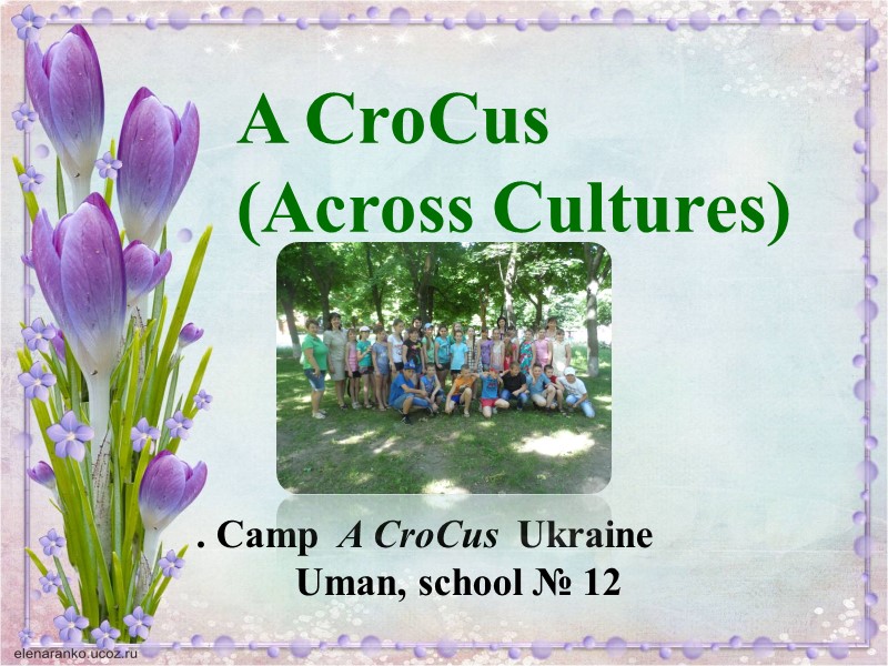 A CroCus (Across Cultures)          